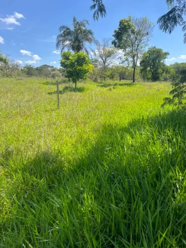 terreno 561M2 RESIDENCIAL SÃO LEOPOLDO DE ESQUINA COMERCIAL RESIDENCIAL