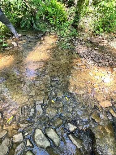 Terreno em área rural oportunidade única