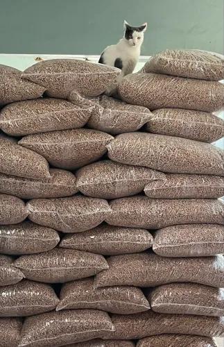 Granulado higiênico 