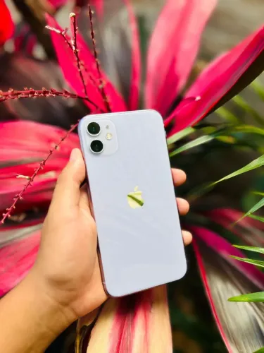 IPhone 11 Purple Novo