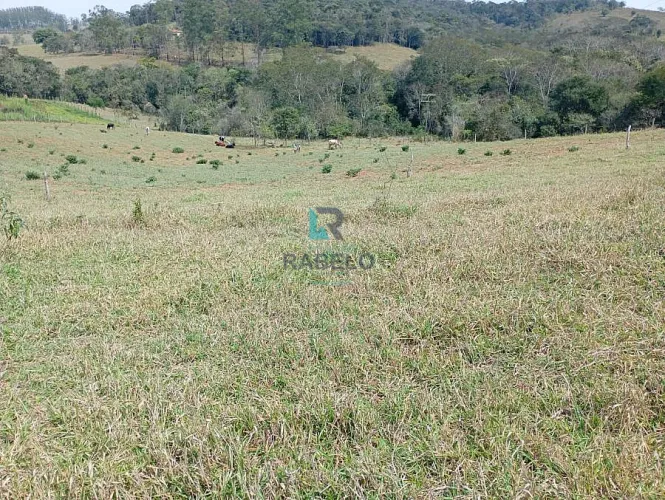 SÍTIO COM 2 ALQUEIRES À VENDA EM LAGOINHA-SP