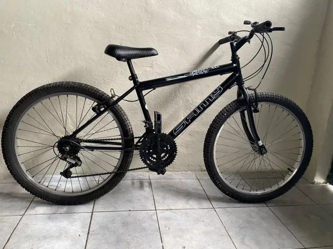 Bicicleta aro 15