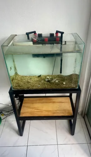 Aquário com suporte e filtro