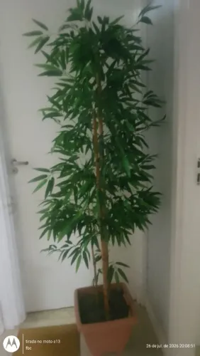 Plantas artificiais