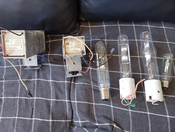 Reator com pampadas
