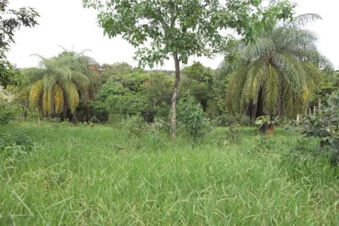 Lote de 1.000 com Agua nos fundos 3km daMg10 Oportunidade