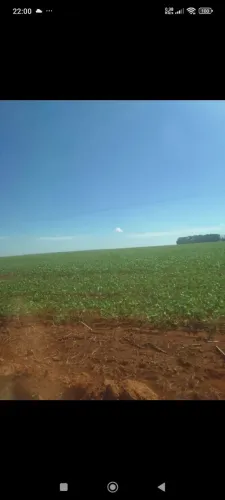 Fazenda arrendamento 11 mil hec plantando, Repasse, 6 anos + renovação dez anos