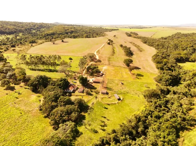 Fazenda região de caldas