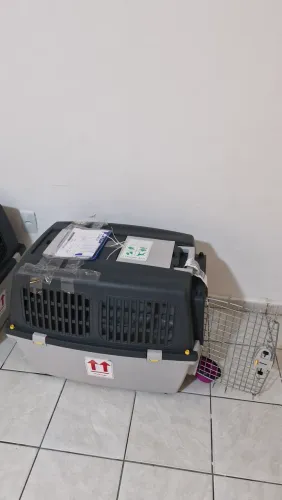 Caixa de transporte Aéreo pet número 6°