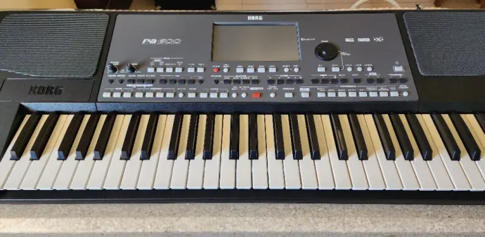 Teclado Korg PA600