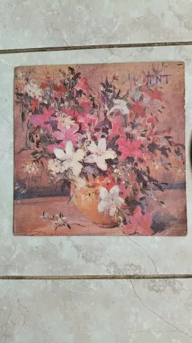 Lp raro vinil banda TNT 1987 ótimo estado primeiro disco nunca lançado em cd
