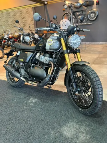 Bear 650 Golden Shadonw