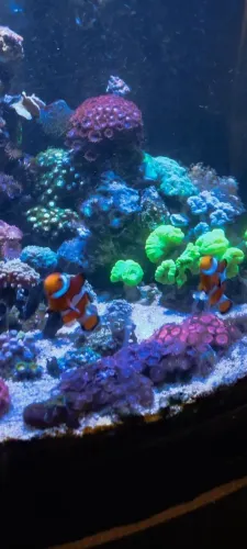 Aquário Completo !!