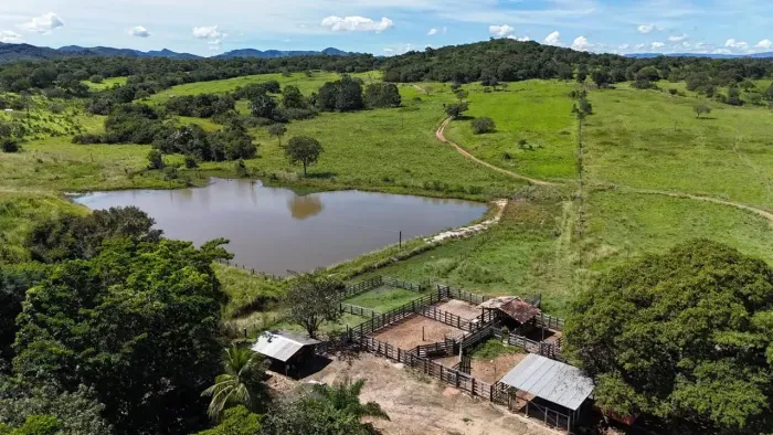 Fazenda em  Goiás - GO - 30 Alqueires