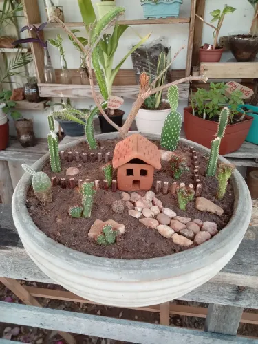 Mini jardim.