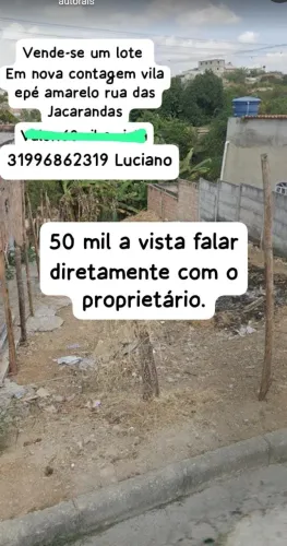 Lote no ipe amarelo 