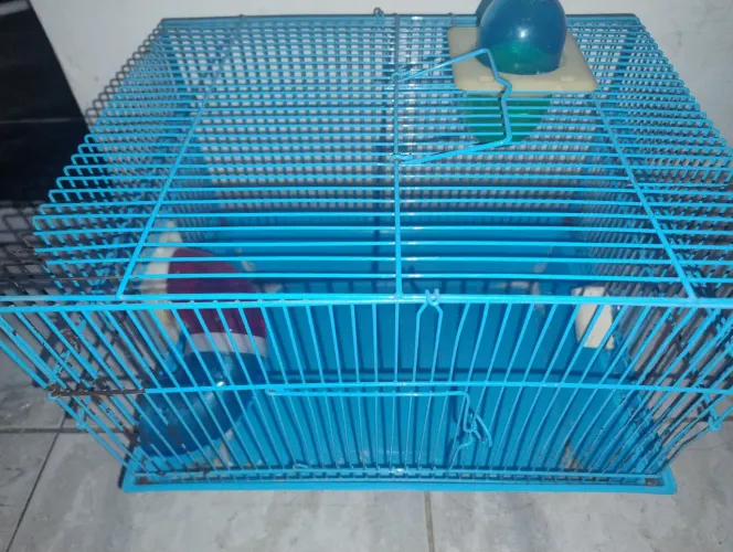 Gaiola para hamster