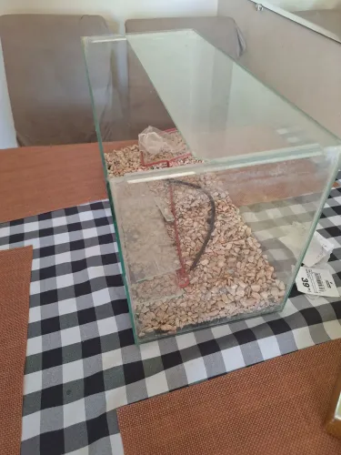 Aquário de 22,5 l