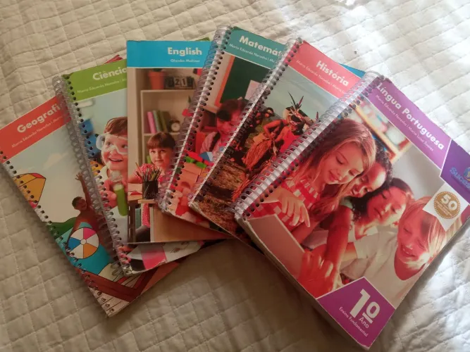 Livros SISTEMA DE ENSINO SUCESSO 1 ANO