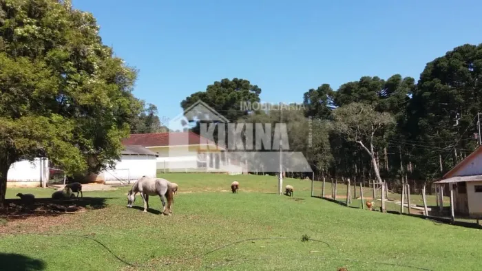 Fazenda à venda por R$ 9000000.00, 3600.00 m2 - - CASTRO/PR