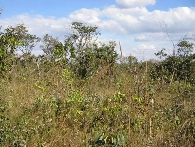 Terreno de 6,5 hectares em Bocaiuva a 8km da cidade Oportunidade