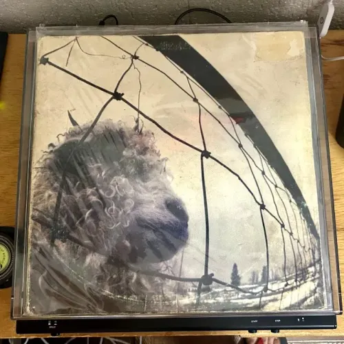 Vinil Pearl Jam - Vs. Lp Nacional