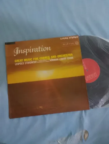 Vinil inspiration