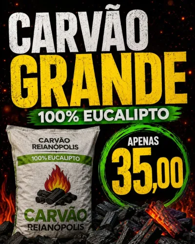 Carvão grande eucalipto 