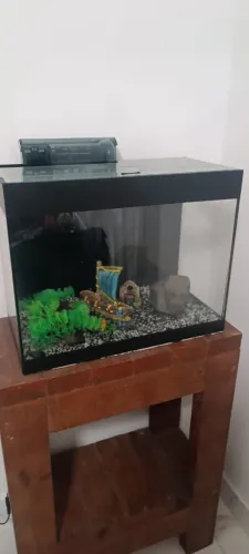 AQUÁRIO