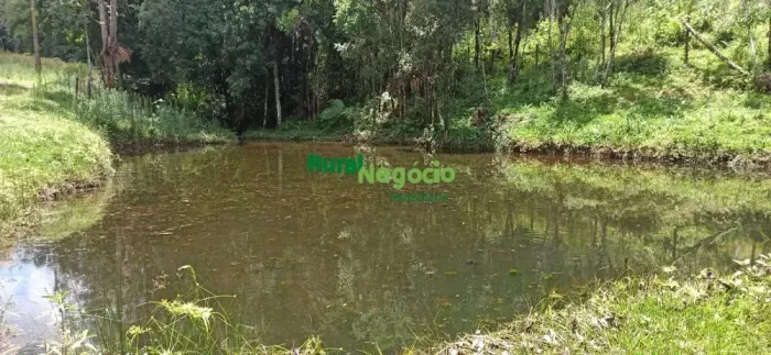 SÍTIO FORMADO PRÓXIMO AO PARQUE DA SERRA DO MAR EM CUNHA-SP