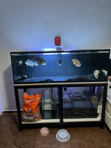 Vende-se aquário 375 litros