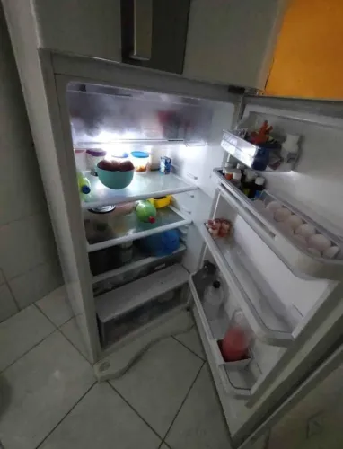 Geladeira Electrolux GRANDE DF54  