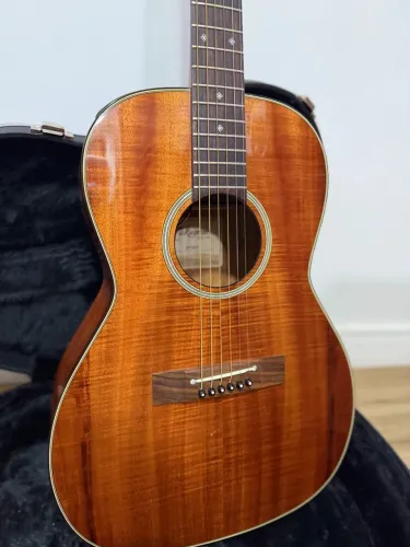 Ef407 takamine japonês
