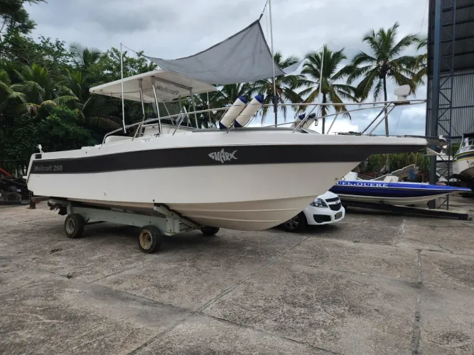 Lancha 26 pés marca wellcraft