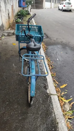 Bicicleta Cargueira