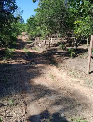 Chácara estrada do nagao