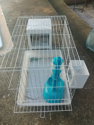 Gaiola para coelho 