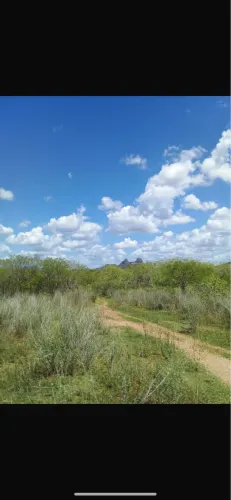 Fazenda 400 hectares 