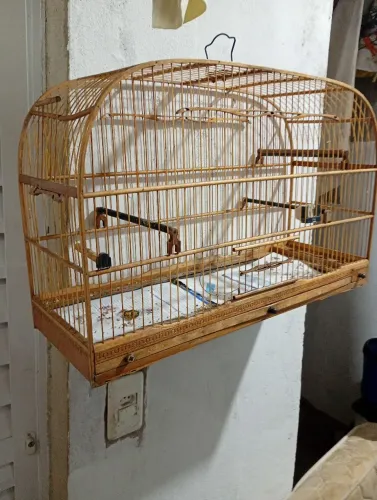 Voador