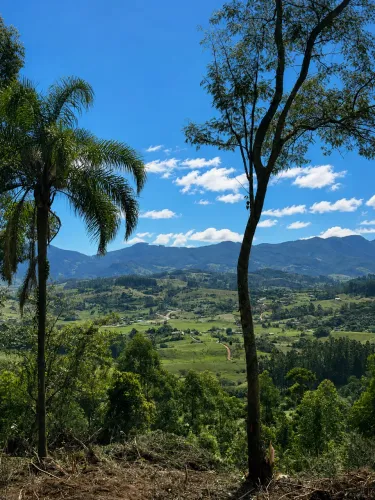LINDA VISTA! 2 HECTARES ESCRITURADO ACEITO CARRO