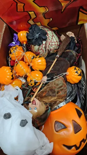 Vendo máscaras e enfeites para mesa , iluminação , máscaras e placas para festa de ?