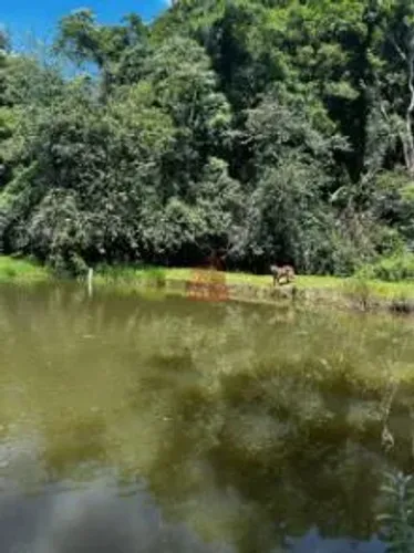 Sítio Completo à Venda na Divisa de São Roque e Santana de Parnaíba