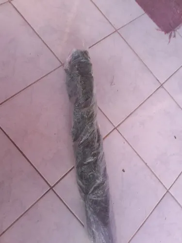 Avore de natal