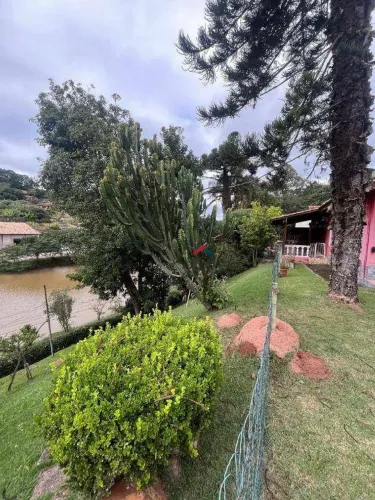 Chácara com 4 dormitórios à venda, 3269 m² por R$ 1.800.000 - Estância Figueira Branca - C