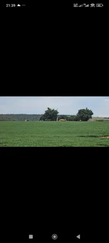 Fazendeiro de arrendamento 755 hec plantando, terra areiada...argila 20%  