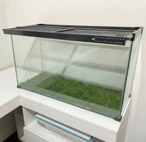 Vendo Terrário
