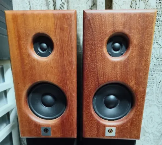 Par De Caixa Ls Audio Ls-p70 8 Ohms Bom Estado Funcionando