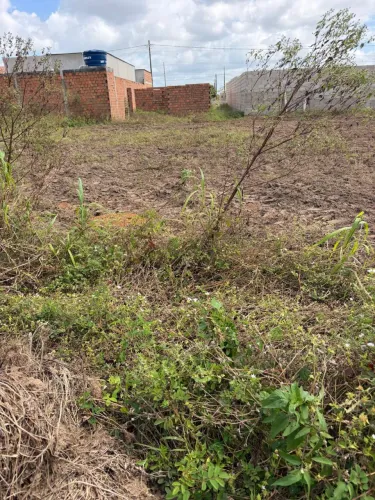 ? TERRENO À VENDA! ? Loteamento José Eudes - Teotônio Vilela/AL ? 8×20 m ? 160 m²