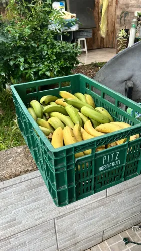 Caixa de banana caturra