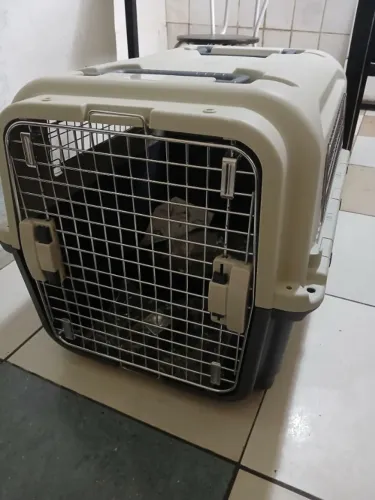 Caixa Transporte Pet Padrão IATA Tamanho 4 N4